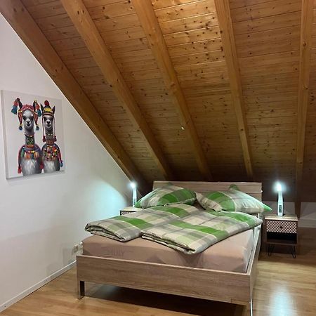 Ferienwohnung Zentral In Loerrach - Konus Gaestekarte Inklusive Luaran gambar