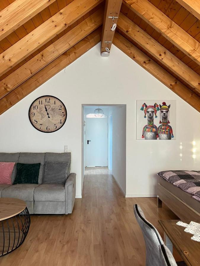 Ferienwohnung Zentral In Loerrach - Konus Gaestekarte Inklusive Luaran gambar
